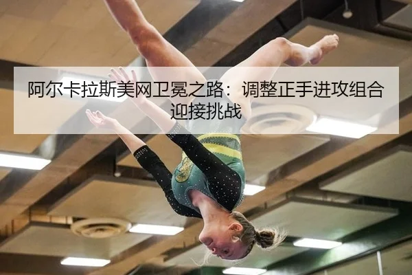 a-er-ka-la-si-mei-wang-wei-mian-zhi-lu-tiao-zheng-zheng-shou-jin-gong-zu-he-ying-jie-tiao-zhan-2-380.jpg