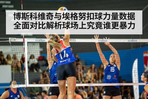 volleyball match