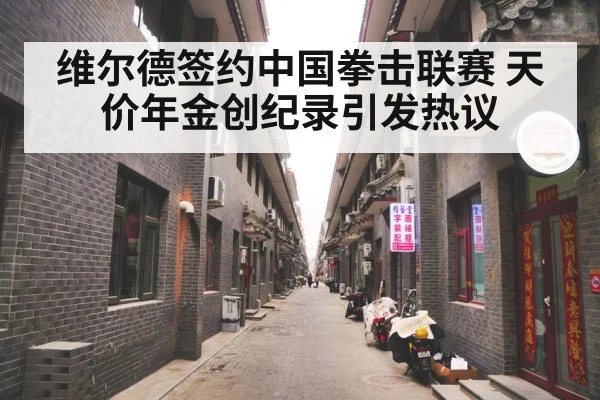 维尔德签约中国拳击联赛 天价年金创纪录引发热议