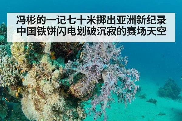 冯彬的一记七十米掷出亚洲新纪录 中国铁饼闪电划破沉寂的赛场天空